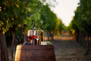 Privat vinprovningstur i München med en vinexpert