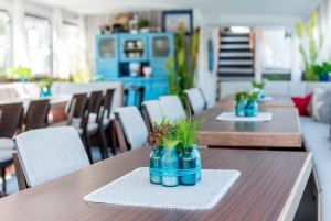 レーゲンスブルク:街のハイライト 歴史的なボート ツアー