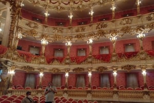 Residence of Munich private tour with skip the line ticket