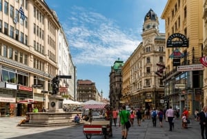 Salzburg: Dagstur til München privat guidet tur