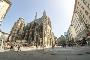 Salzburg: Day Trip to Munich Private Guided Tour