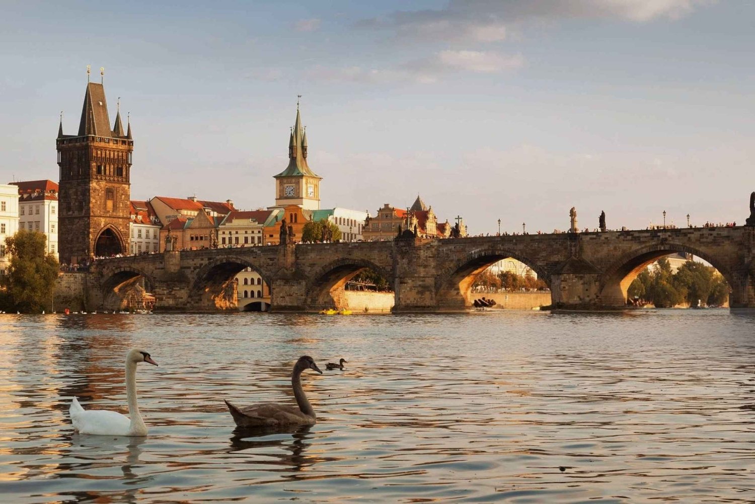 Salisburgo: biglietto d'ingresso alla casa natale e alla residenza di Mozart