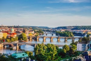 München: Schloss Neuschwanstein & Österreich, private Tour.