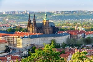 München: Schloss Neuschwanstein & Österreich, private Tour.