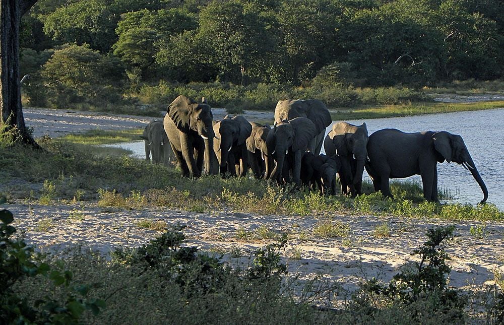 Bwabwata National Park