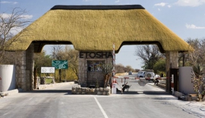 Etosha National Park