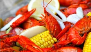 Namibia Restaurant Guide