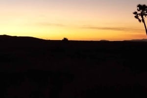 03 Days Etosha National Park Guided Lodge Trip