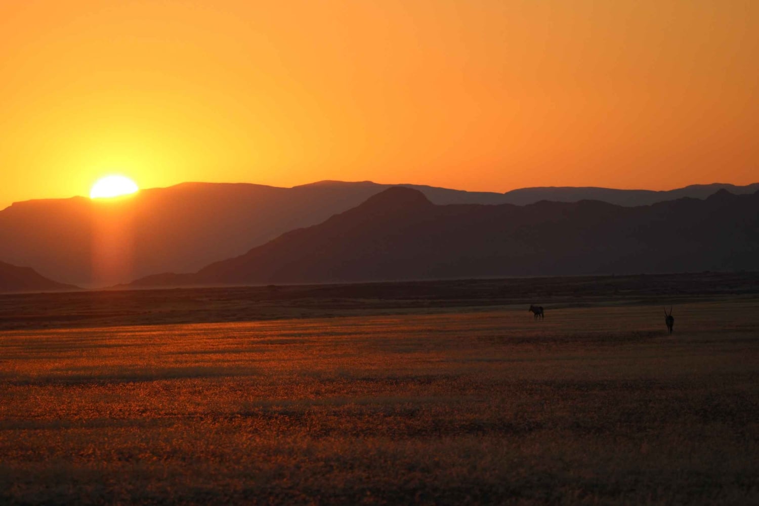 04 Days Swakopmund and Sossusvlei Guided Tour