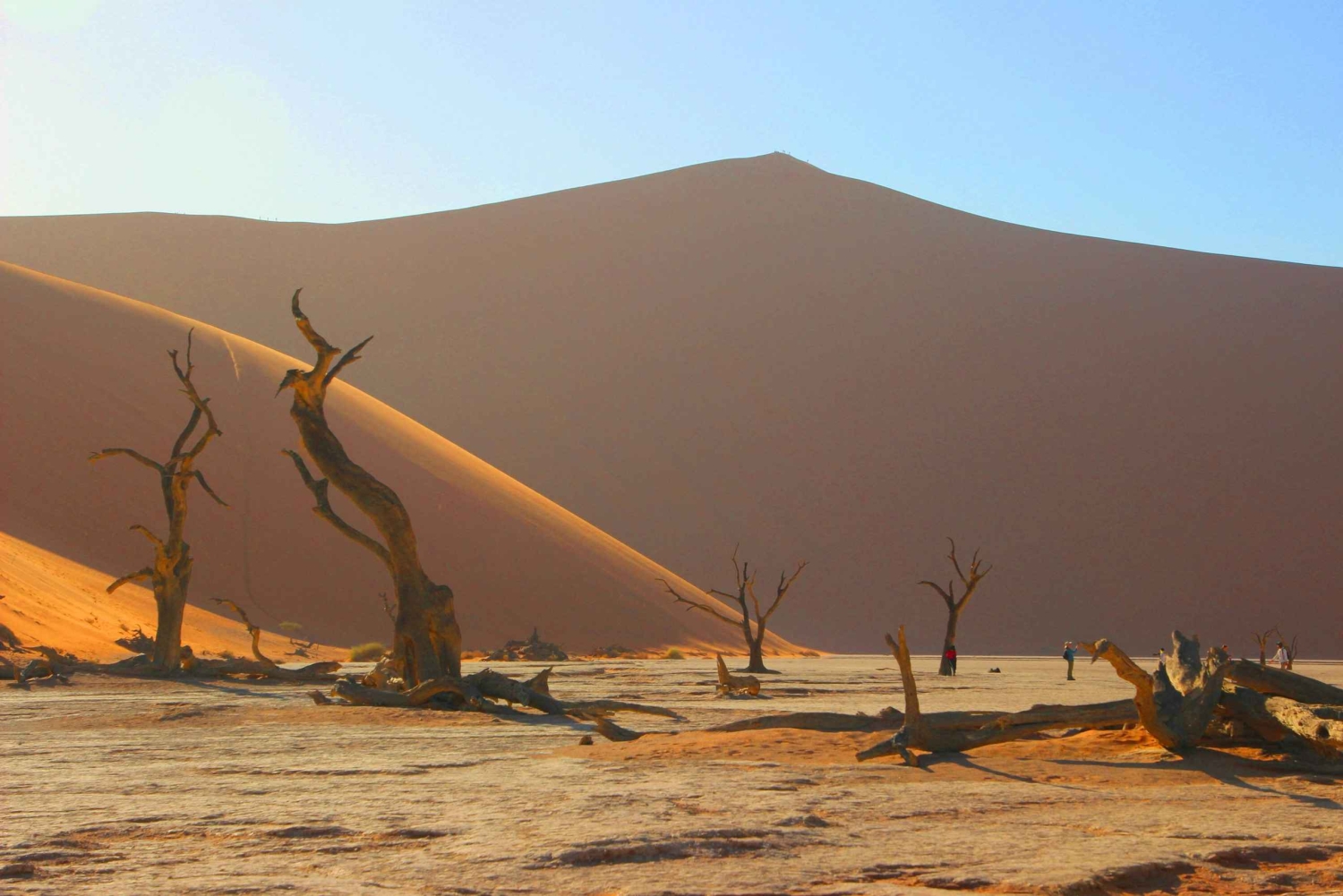 04 Days Swakopmund and Sossusvlei Guided Tour