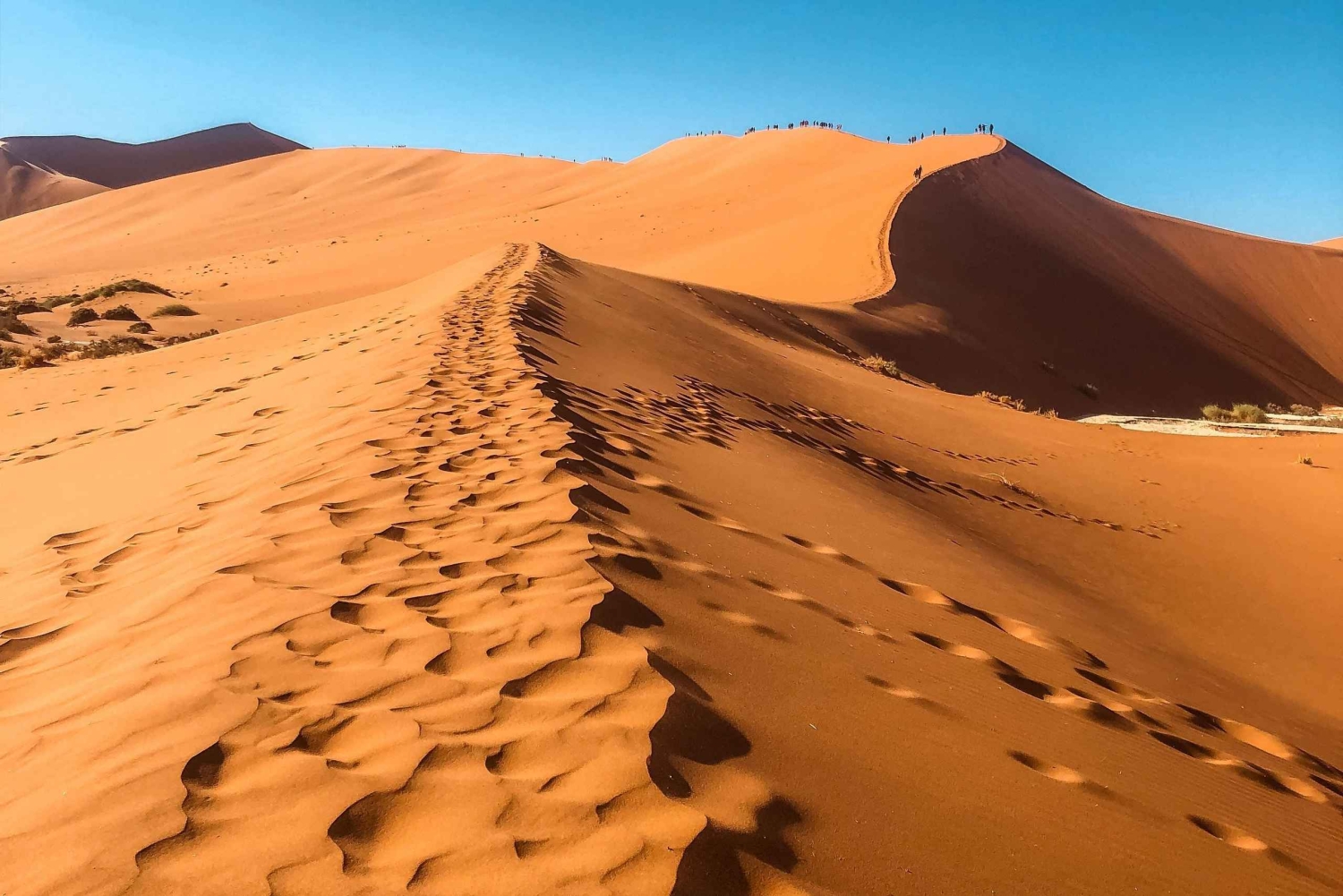 04 Days Swakopmund and Sossusvlei Guided Tour