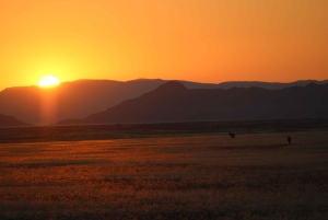 04 Days Swakopmund and Sossusvlei Guided Tour