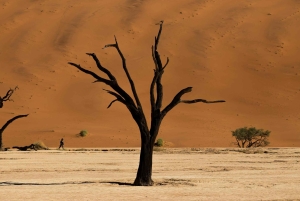 04 Days Swakopmund and Sossusvlei Guided Tour