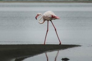 04 Days Swakopmund and Sossusvlei Guided Tour