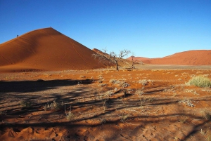 07 Days Highlight Of Namibia | Auto Tour Camping