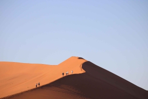 07 Days Highlight Of Namibia | Auto Tour Camping