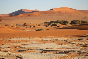07 Days Highlight Of Namibia | Auto Tour Camping