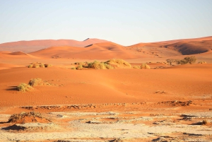 07 Days Highlight Of Namibia | Auto Tour Camping