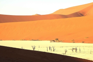 07 Days Highlight Of Namibia | Auto Tour Camping