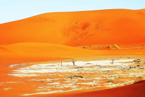 07 Days Highlight Of Namibia | Auto Tour Camping