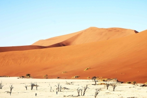 07 Days Highlight Of Namibia | Auto Tour Camping
