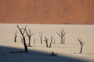 07 Days Highlight Of Namibia | Auto Tour Camping