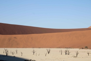 07 Days Highlight Of Namibia | Auto Tour Camping