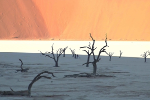 07 Days Highlight Of Namibia | Auto Tour Camping