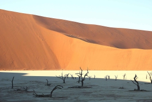 07 Days Highlight Of Namibia | Auto Tour Camping