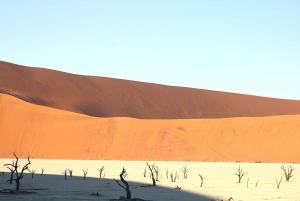 07 Days Highlight Of Namibia | Auto Tour Camping