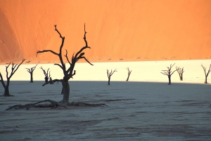 07 Days Highlight Of Namibia | Auto Tour Camping