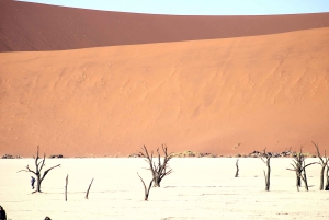 07 Days Highlight Of Namibia | Auto Tour Camping
