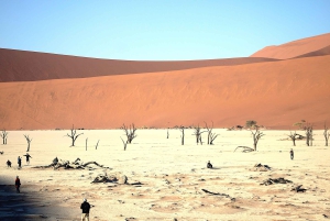 07 Days Highlight Of Namibia | Auto Tour Camping