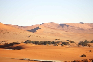 07 Days Highlight Of Namibia | Auto Tour Camping