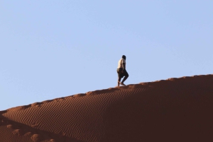 07 Days Highlight Of Namibia | Auto Tour Camping