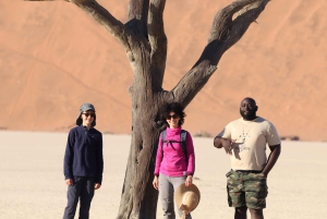 07 Days Highlight Of Namibia | Auto Tour Camping