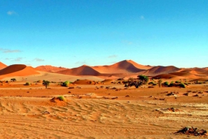 07 Days Highlight Of Namibia | Auto Tour Camping