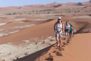 07 Days Highlight Of Namibia | Auto Tour Camping