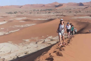 07 Days Highlight Of Namibia | Auto Tour Camping