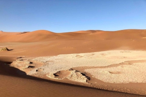 07 Days Highlight Of Namibia | Auto Tour Camping