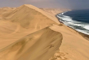 07 Days Highlight Of Namibia | Auto Tour Camping