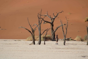 07 Days Highlight Of Namibia | Auto Tour Camping