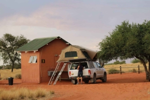 07 Days Highlight Of Namibia | Auto Tour Camping