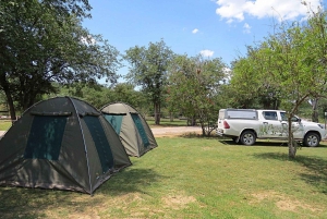 07 Days Highlight Of Namibia | Auto Tour Camping