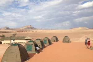 07 Days Highlight Of Namibia | Auto Tour Camping