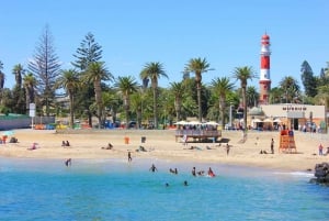 VISIT WALVIS BAY AND SWAKOPMUND: Transport and tour