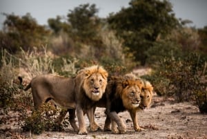 10 Day Discover Namibia Small Group Safari