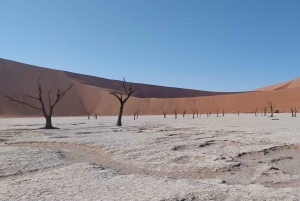 10 Days Taste of Namibia | Auto Tour Camping