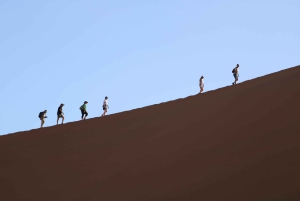 10 Days Taste of Namibia | Auto Tour Camping