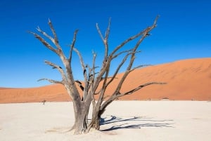 2 Days Budget Sossusvlei Guided Tour